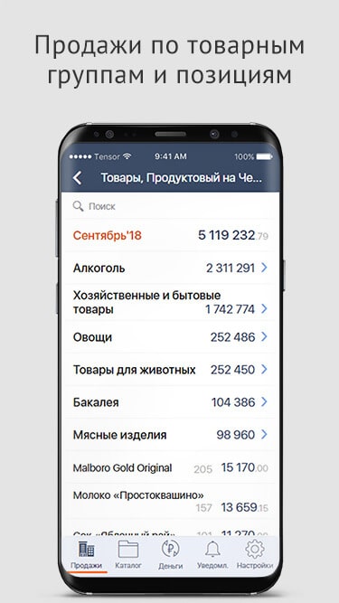 СБИС Бизнес